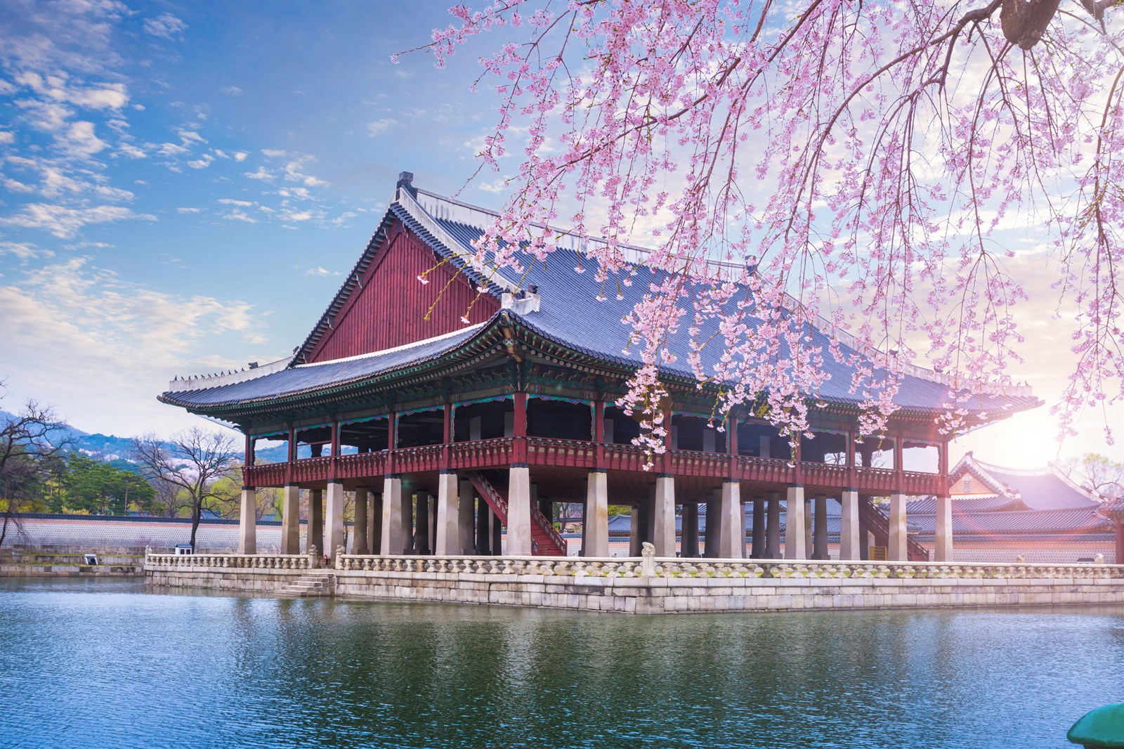 south korea tour package from uae