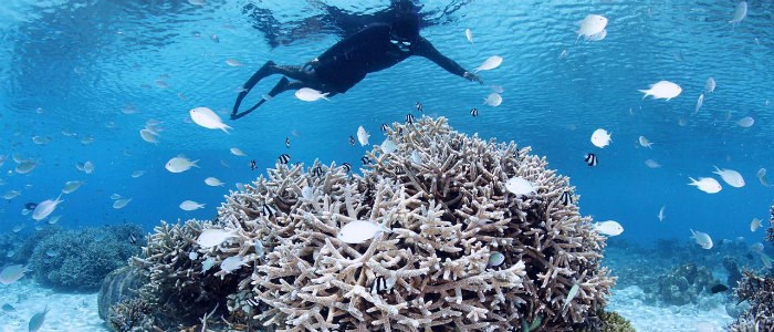 Maldives Vacations 2020/2021 | Emirates Vacations