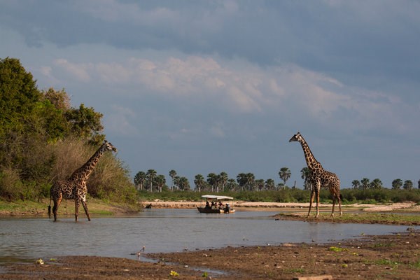 emirates safari tour